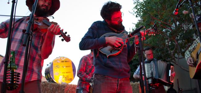 red grass bluegrass