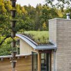 Watershed Straw Bale Residence green roof